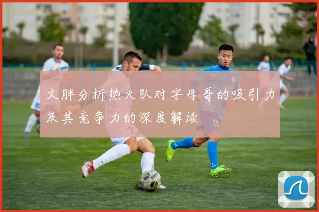 文胖分析热火队对字母哥的吸引力及其竞争力的深度解读