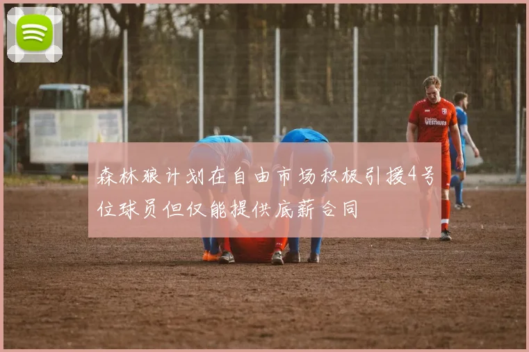 森林狼计划在自由市场积极引援4号位球员但仅能提供底薪合同