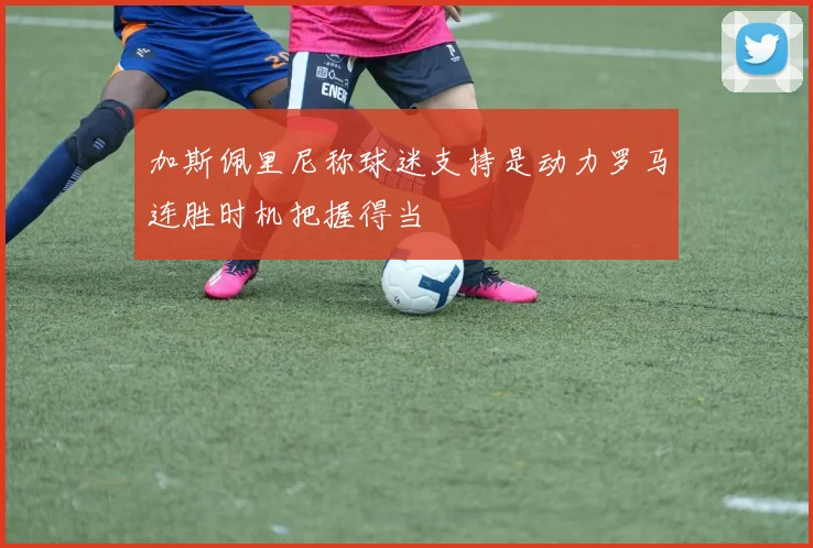 加斯佩里尼称球迷支持是动力罗马连胜时机把握得当